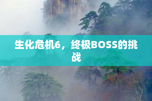 终极BOSS的挑战图片