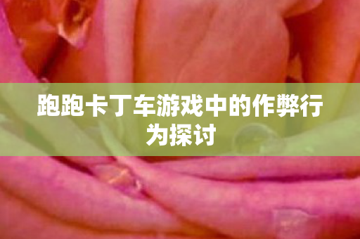 跑跑卡丁车游戏中的作弊行为探讨图片