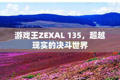 游戏王ZEXAL 135图片