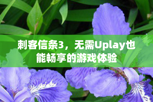 无需Uplay也能畅享的游戏体验图片