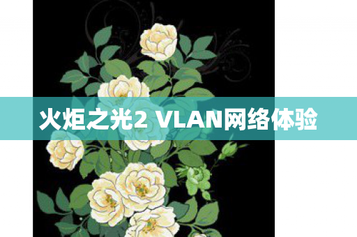 火炬之光2 VLAN网络体验图片