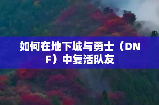 如何在地下城与勇士图片