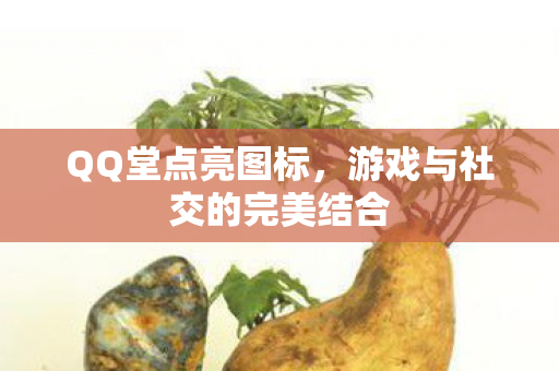 游戏与社交的完美结合图片