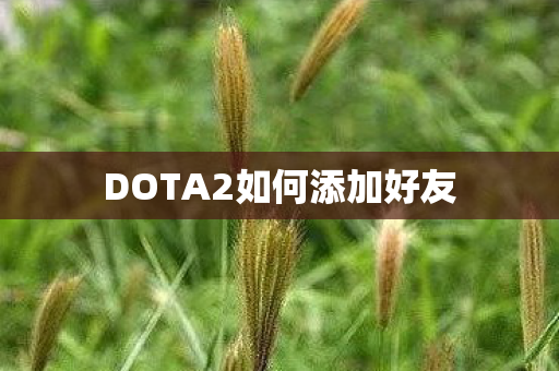 DOTA2如何添加好友图片