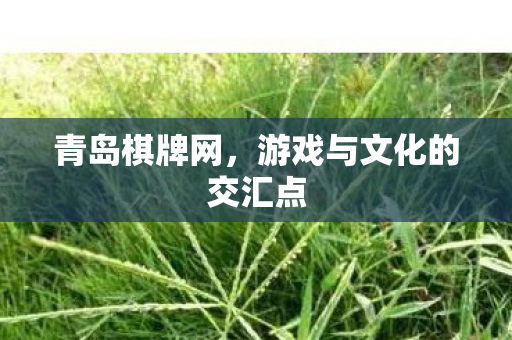 游戏与文化的交汇点图片