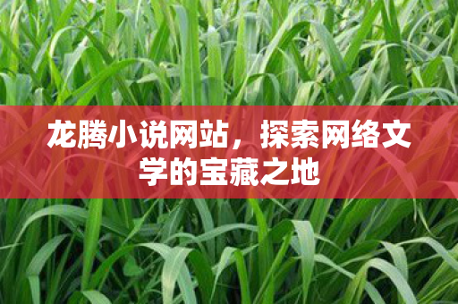 探索网络文学的宝藏之地图片