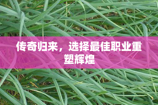 选择最佳职业重塑辉煌图片