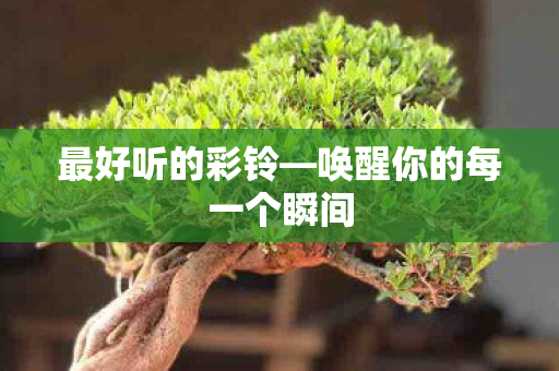 唤醒你的每一个瞬间图片