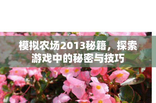 探索游戏中的秘密与技巧图片