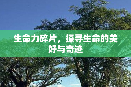 探寻生命的美好与奇迹图片