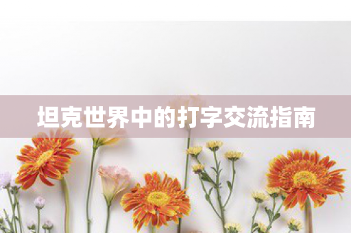 坦克世界中的打字交流指南图片