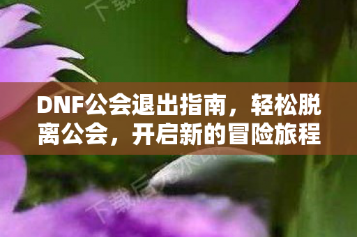 DNF公会退出指南图片