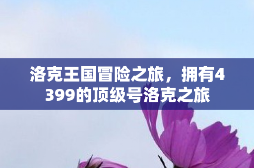 拥有4399的顶级号洛克之旅图片