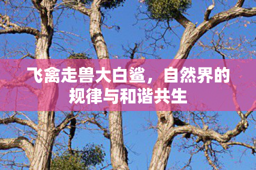 自然界的规律与和谐共生图片