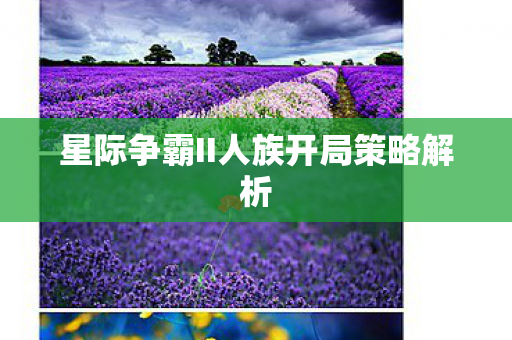 星际争霸II人族开局策略解析图片