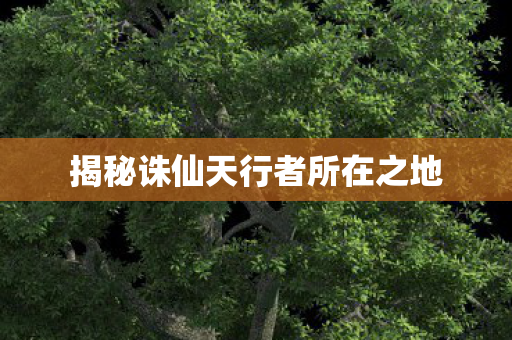 揭秘诛仙天行者所在之地图片