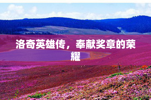 奉献奖章的荣耀图片