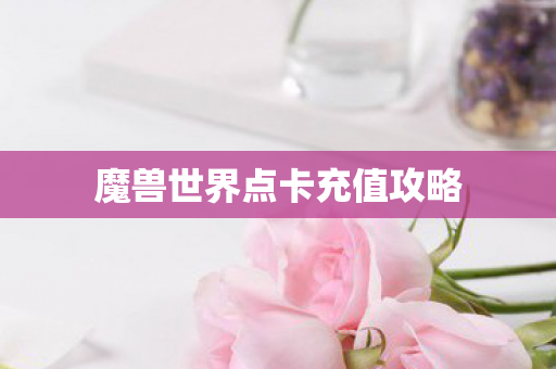 魔兽世界点卡充值攻略图片