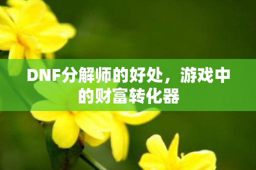 DNF分解师的好处图片