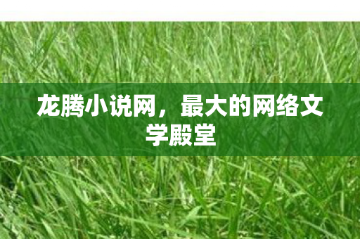 最大的网络文学殿堂图片