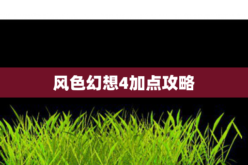 风色幻想4加点攻略图片