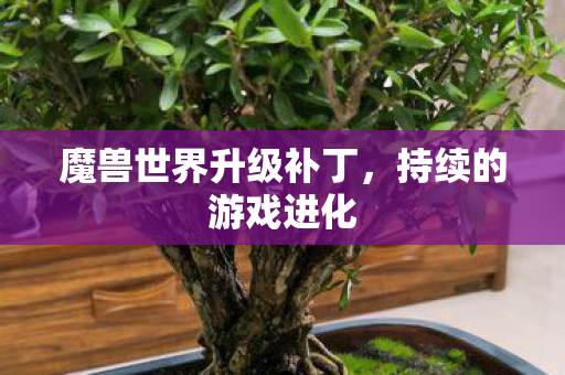 魔兽世界升级补丁图片