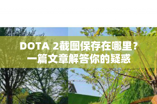 DOTA 2截图保存在哪里图片