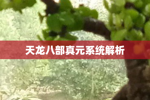 天龙八部真元系统解析图片