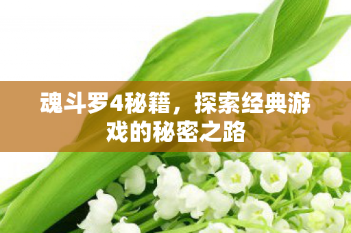 探索经典游戏的秘密之路图片
