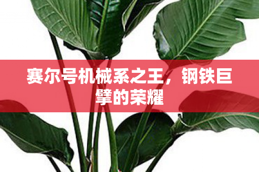 赛尔号机械系之王图片