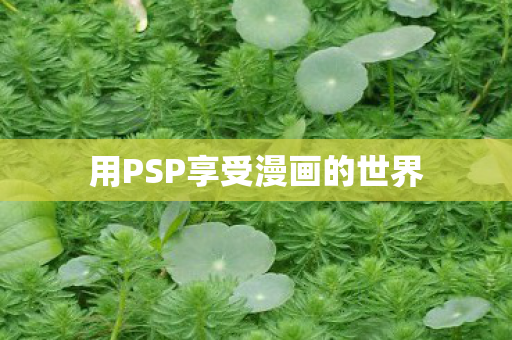 用PSP享受漫画的世界图片