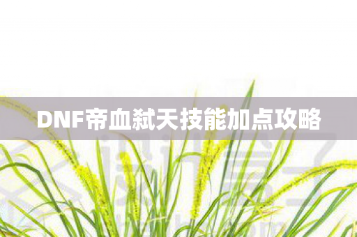 DNF帝血弑天技能加点攻略图片