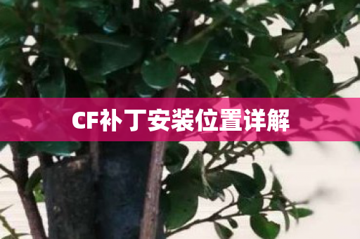 CF补丁安装位置详解图片
