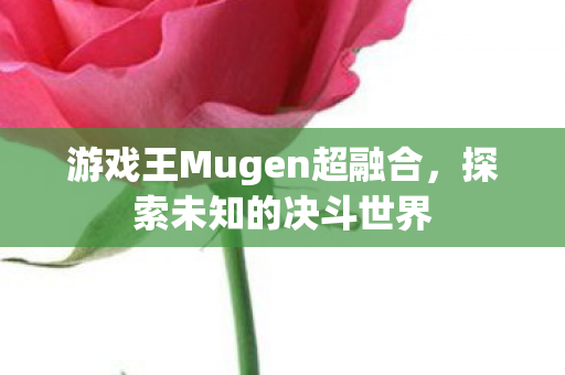游戏王Mugen超融合图片