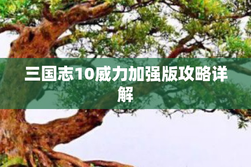 三国志10威力加强版攻略详解图片