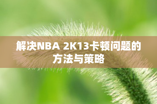 解决NBA 2K13卡顿问题的方法与策略图片