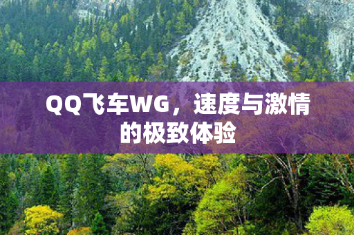 速度与激情的极致体验图片