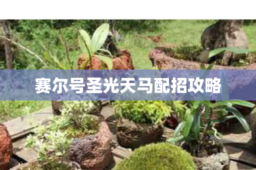赛尔号圣光天马配招攻略图片