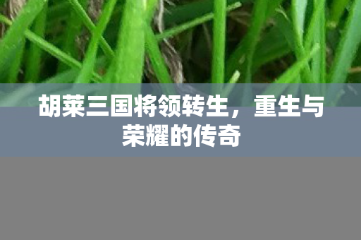 胡莱三国将领转生图片