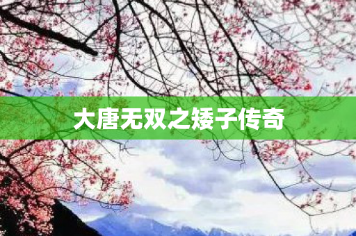 大唐无双之矮子传奇图片