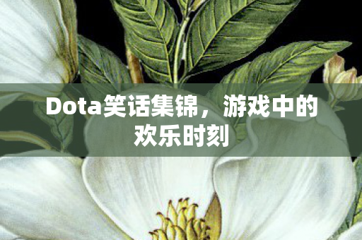 Dota笑话集锦图片