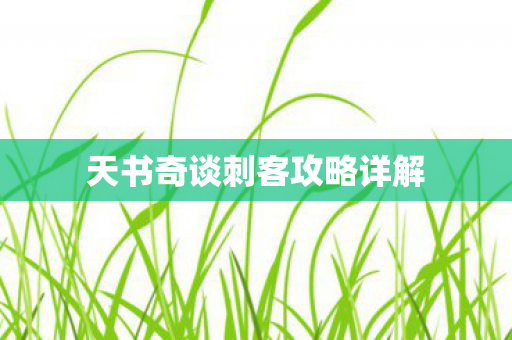 天书奇谈刺客攻略详解图片
