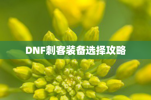 DNF刺客装备选择攻略图片