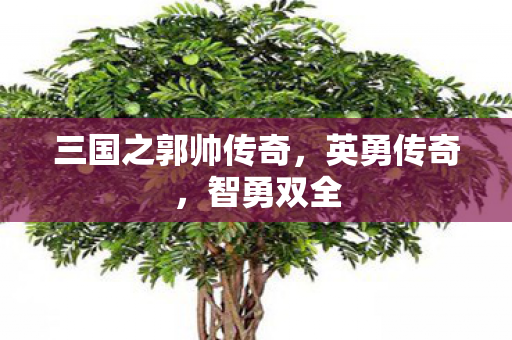 三国之郭帅传奇图片
