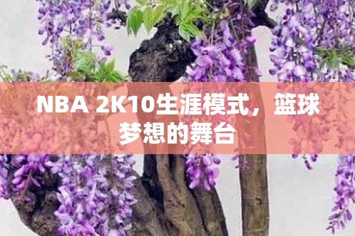 NBA 2K10生涯模式图片