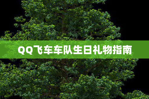 QQ飞车车队生日礼物指南图片