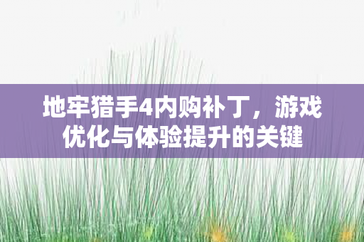 游戏优化与体验提升的关键图片
