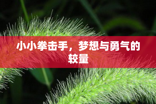 梦想与勇气的较量图片