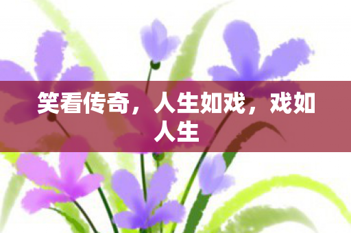 笑看传奇图片