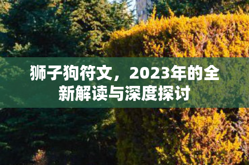 2023年的全新解读与深度探讨图片